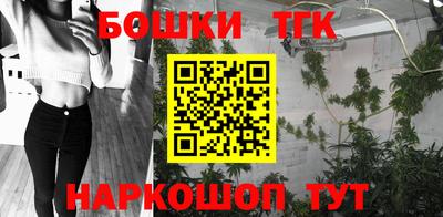индика Кулебаки