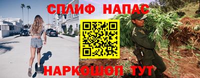 индика Кулебаки