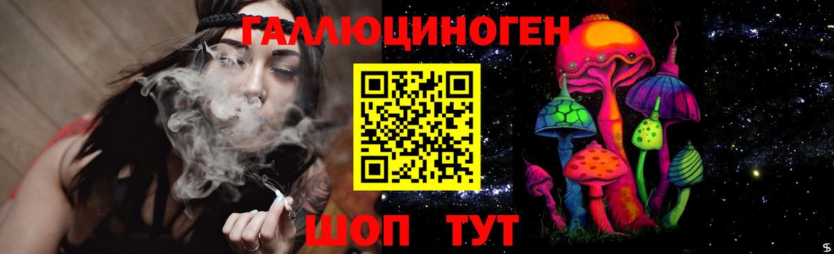 Дзержинск  Псилоцибиновые грибы Cubensis  Вход с VPN 